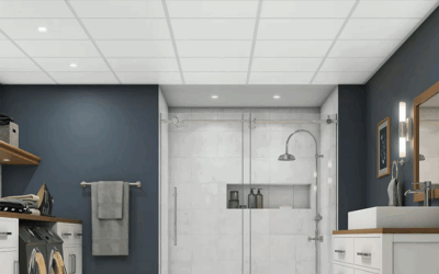 Top 5 Choices for Mold-Resistant Bathroom Ceilings