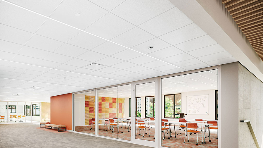 white-cieling-office-wide